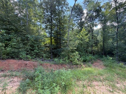 0 Center Point Road South Reagan, TN 38368 - Photo 12 of 15 Gallery Image 12