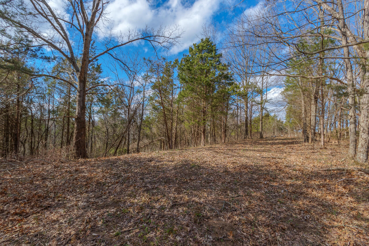 1 Camp Pleasant Road Frankfort, KY 40601 - Photo 8 of 67 027-2918-Cedar-Rd-Stamping-Ground-KY-403