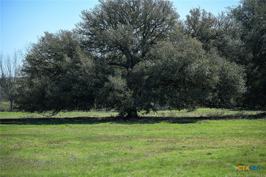 784 Main Loop Road Waelder, TX 78959 - Photo 9 of 9 a view of yard with green space