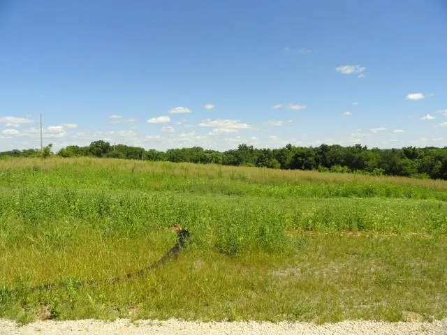 $312,500 | Lot 3 County Road S, Mt Horeb, WI 53572