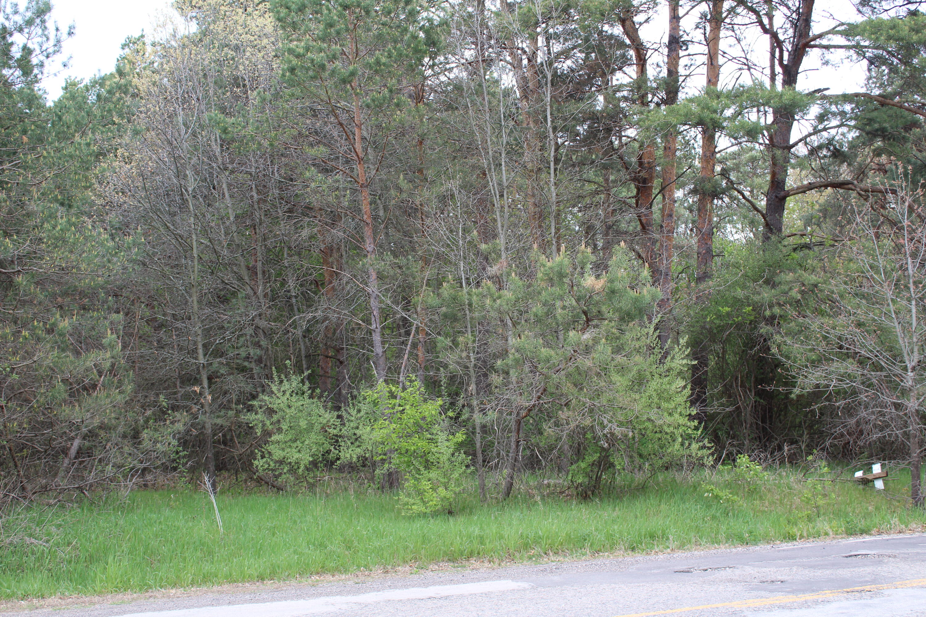 0 West S County Line Road Fenwick, MI 48834 - Photo 3 of 13 IMG_8688
