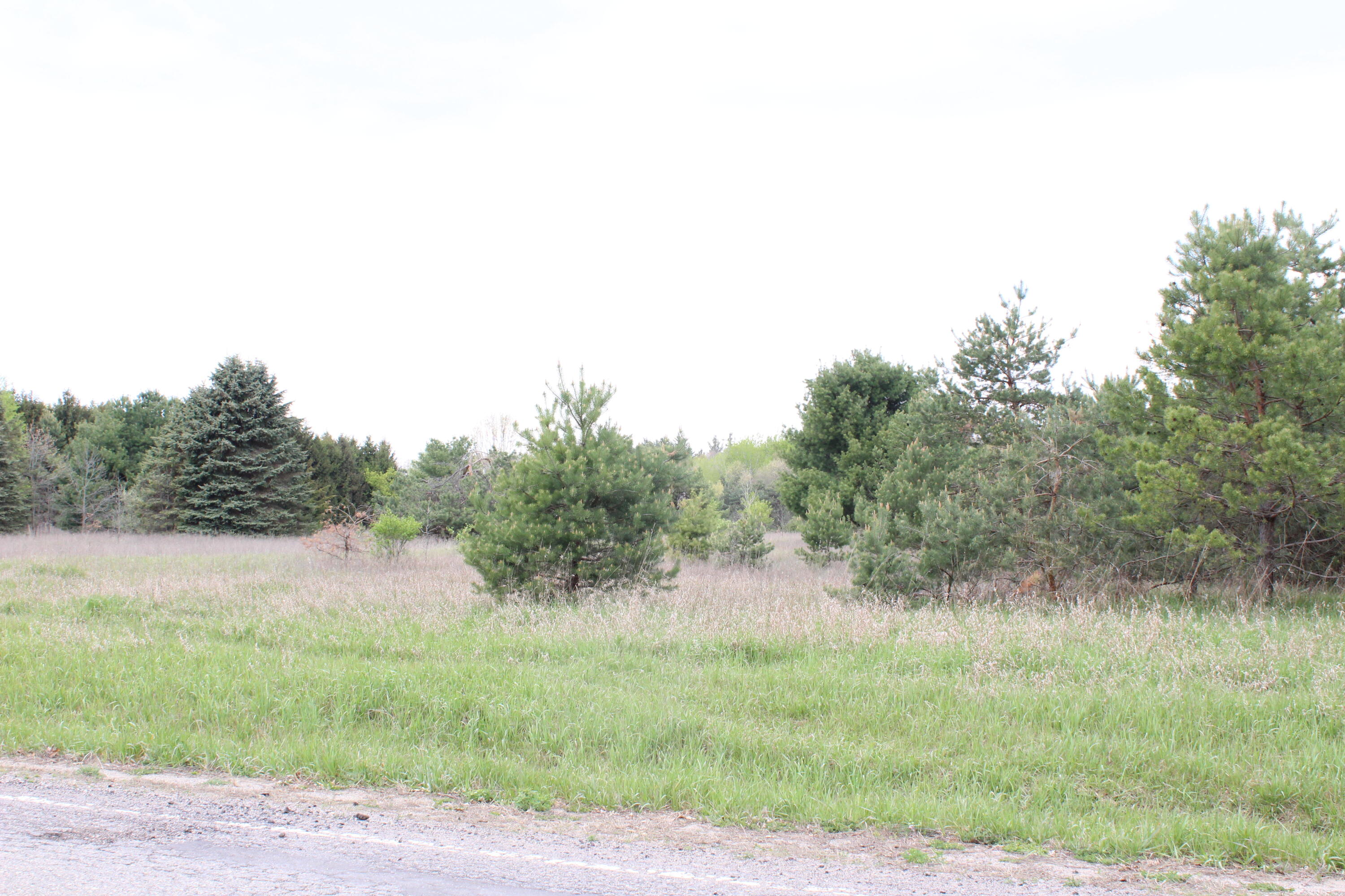 0 West S County Line Road Fenwick, MI 48834 - Photo 5 of 13 IMG_8693