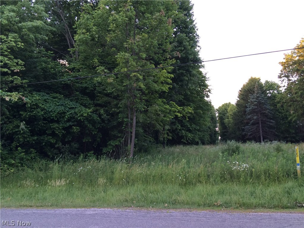 4633 S/l 17 Ranchwood Road Akron, OH 44333 - Photo 4 of 5