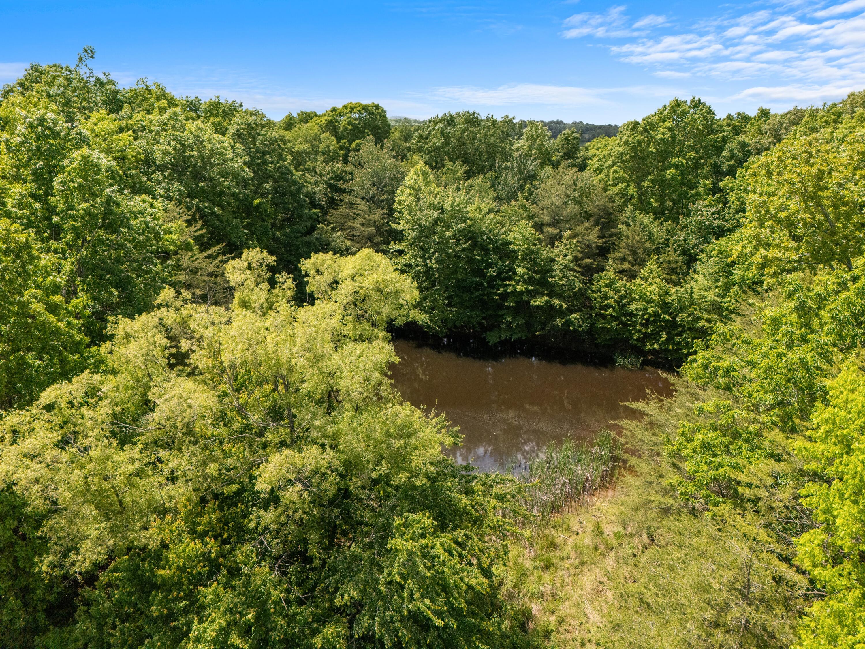 10681 Griffith Road Pikeville, TN 37367 - Photo 5 of 8 DJI_20260507141920_0392_D