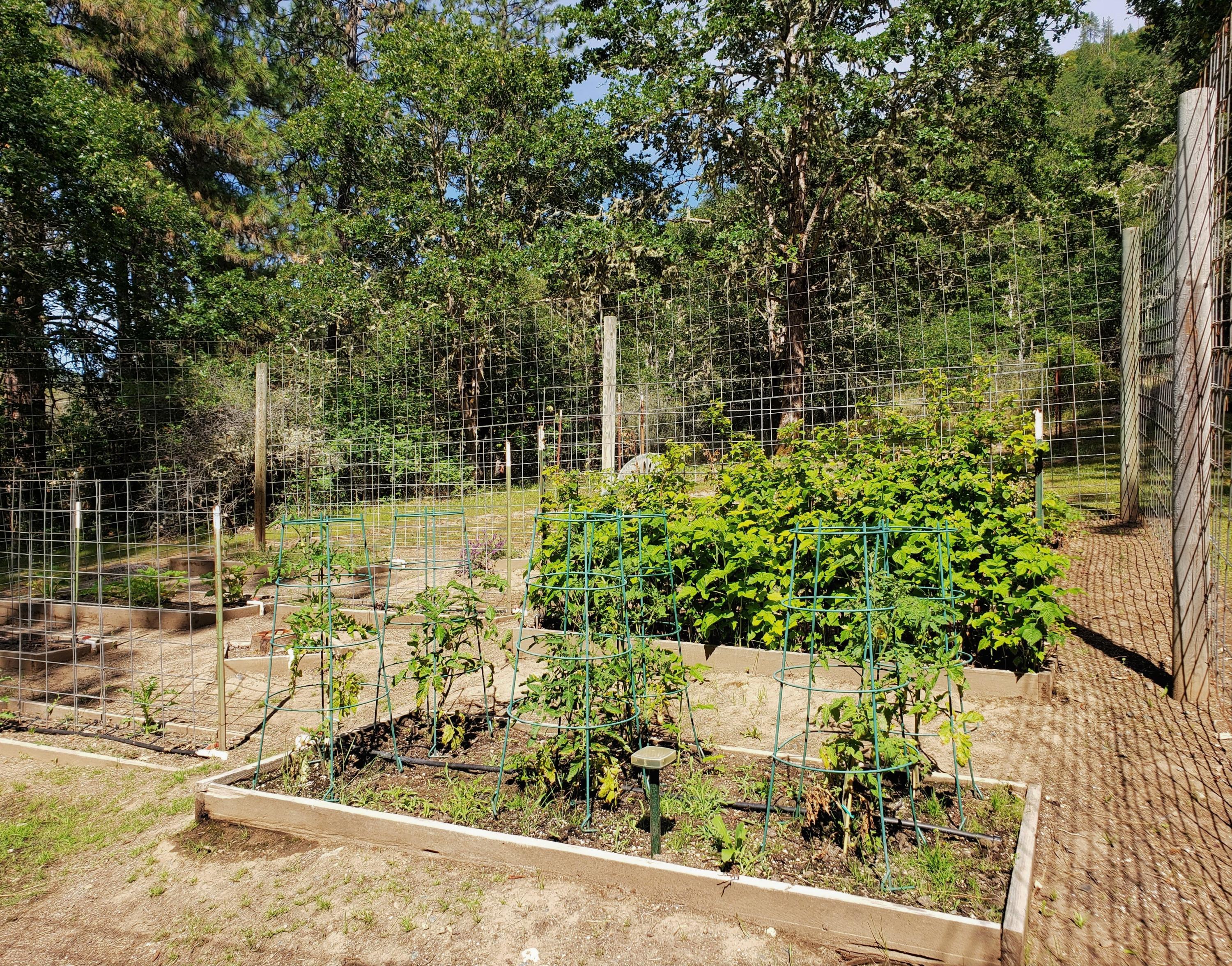 1068 Wards Creek Road Rogue River, OR 97537 - Photo 48 of 57 Fenced garden with raised beds and irrigation!