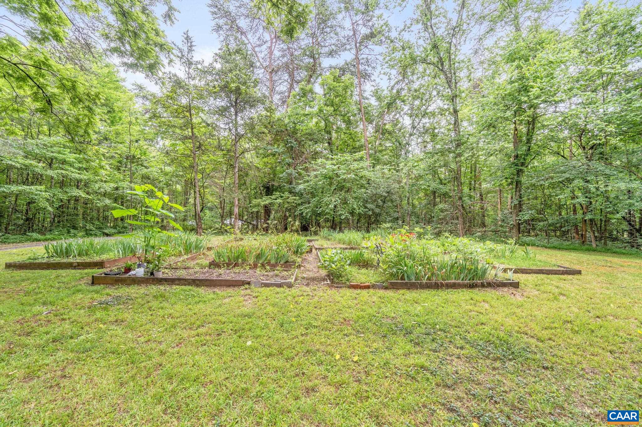 165 Fitzpatrick Road Buckingham, VA 23921 - Photo 27 of 33 a view of outdoor space and yard