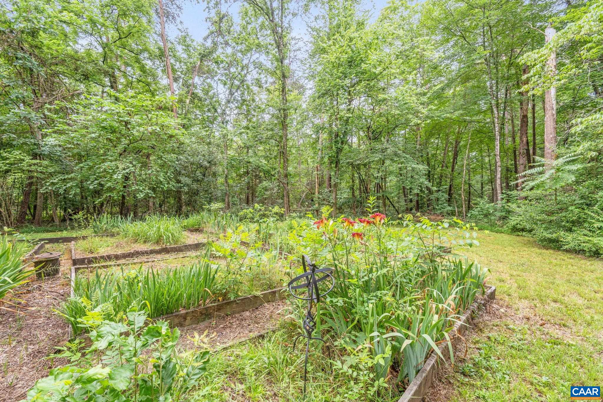 165 Fitzpatrick Road Buckingham, VA 23921 - Photo 28 of 33 a view of a lake with a yard