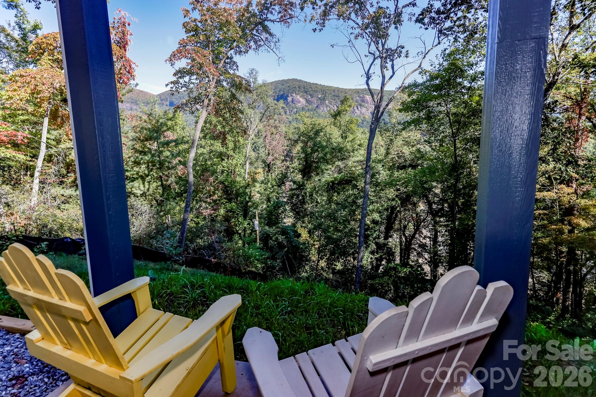 272 Seton Road Lake Lure, NC 28746 - Photo 30 of 39 a view of backyard with green space and seating area