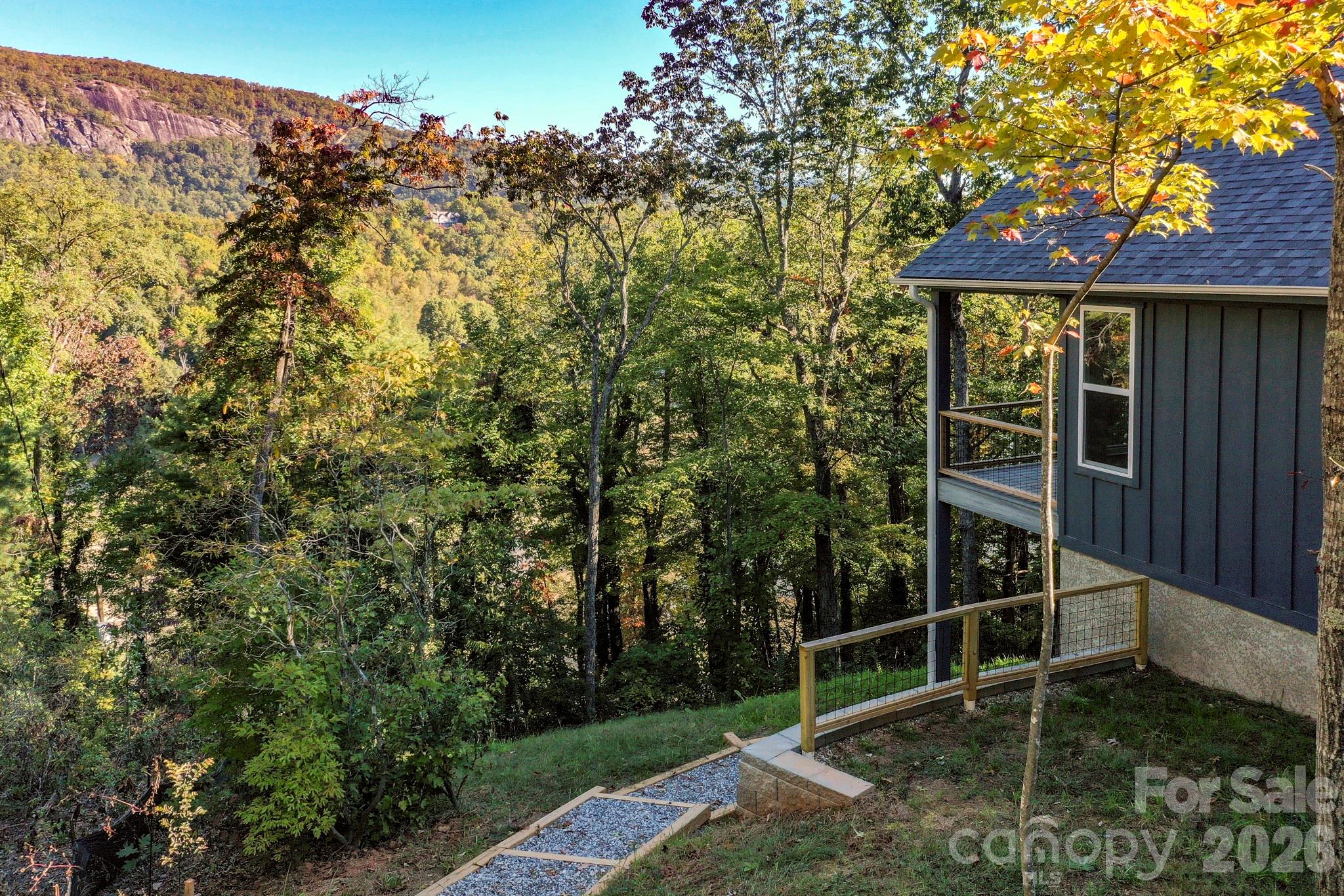 272 Seton Road Lake Lure, NC 28746 - Photo 3 of 39 a backyard of a house with lots of green space