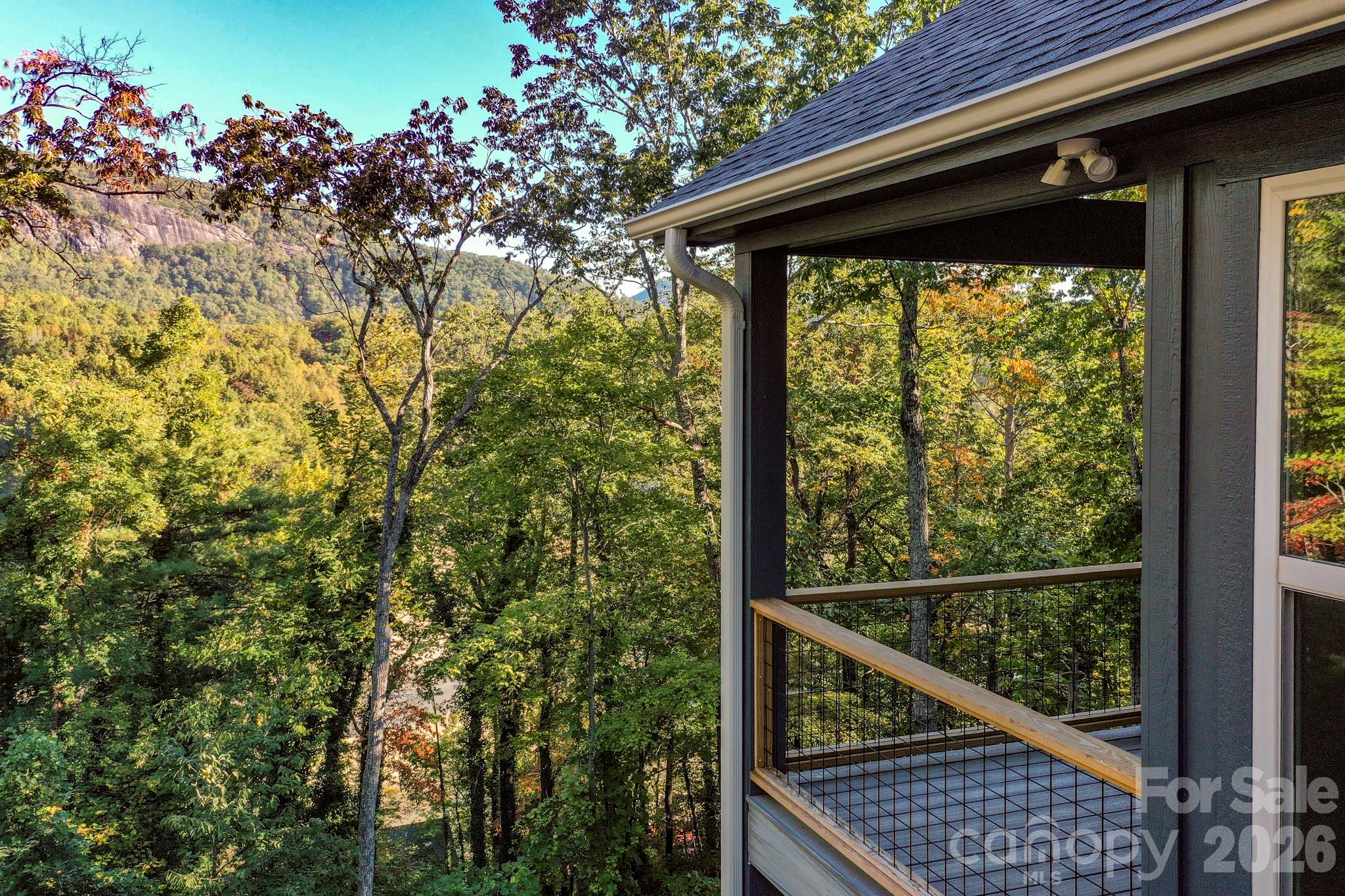 272 Seton Road Lake Lure, NC 28746 - Photo 4 of 39 a view of a balcony