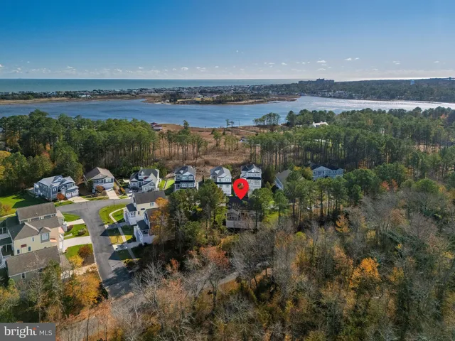a hallway with wooden floor and some plants
