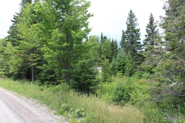 92 Orris Lamb Road Dallas Plt, ME 04970 - Photo 5 of 20 Wooded Buffer