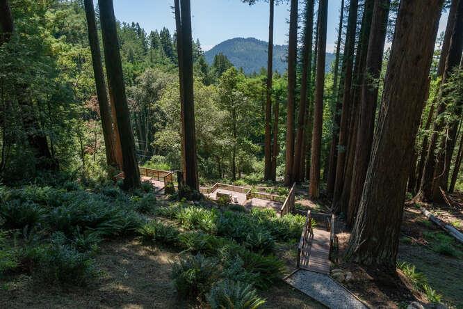 108 Ware Road Woodside, CA 94062 - Photo 49 of 56 a view of a city with lush green forest