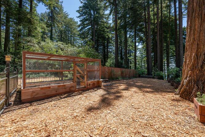 108 Ware Road Woodside, CA 94062 - Photo 54 of 56 a view of a yard with a tree