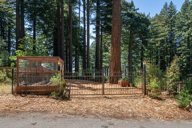 108 Ware Road Woodside, CA 94062 - Photo 55 of 56 a view of a park with iron fence