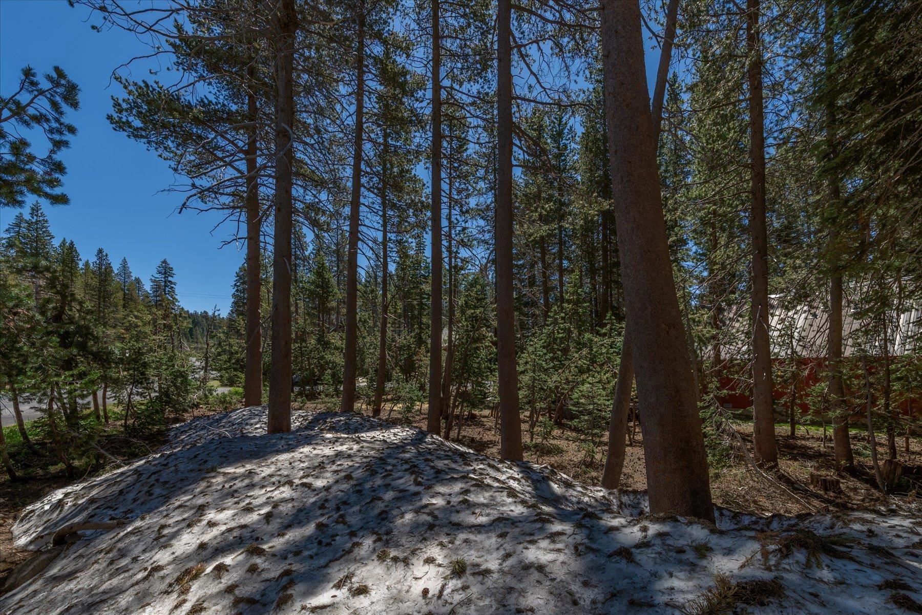 5595 Spruce Road Soda Springs, CA 95728 - Photo 9 of 21 Gallery Image 9