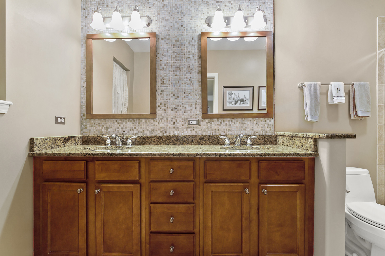 401 West Pierce Road, Unit 201 Itasca, IL 60143 - Photo 15 of 24 a bathroom with a granite countertop sink vanity and mirror