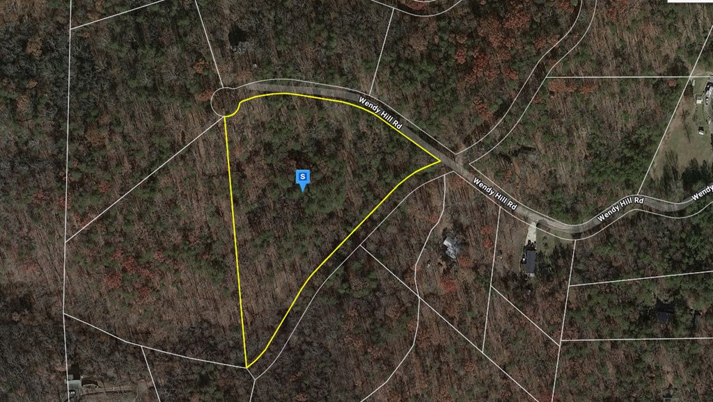 0 Wendy Hill Road Ellijay, GA 30536 - Photo 2 of 6 Gallery Image 2