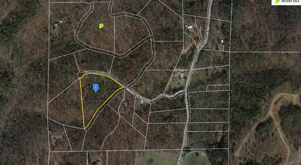 0 Wendy Hill Road Ellijay, GA 30536 - Photo 3 of 6 Gallery Image 3
