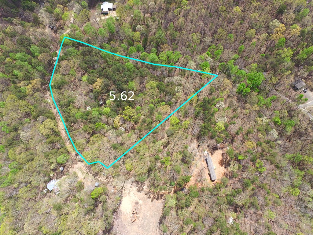 0 Wendy Hill Road Ellijay, GA 30536 - Photo 4 of 6 Gallery Image 4