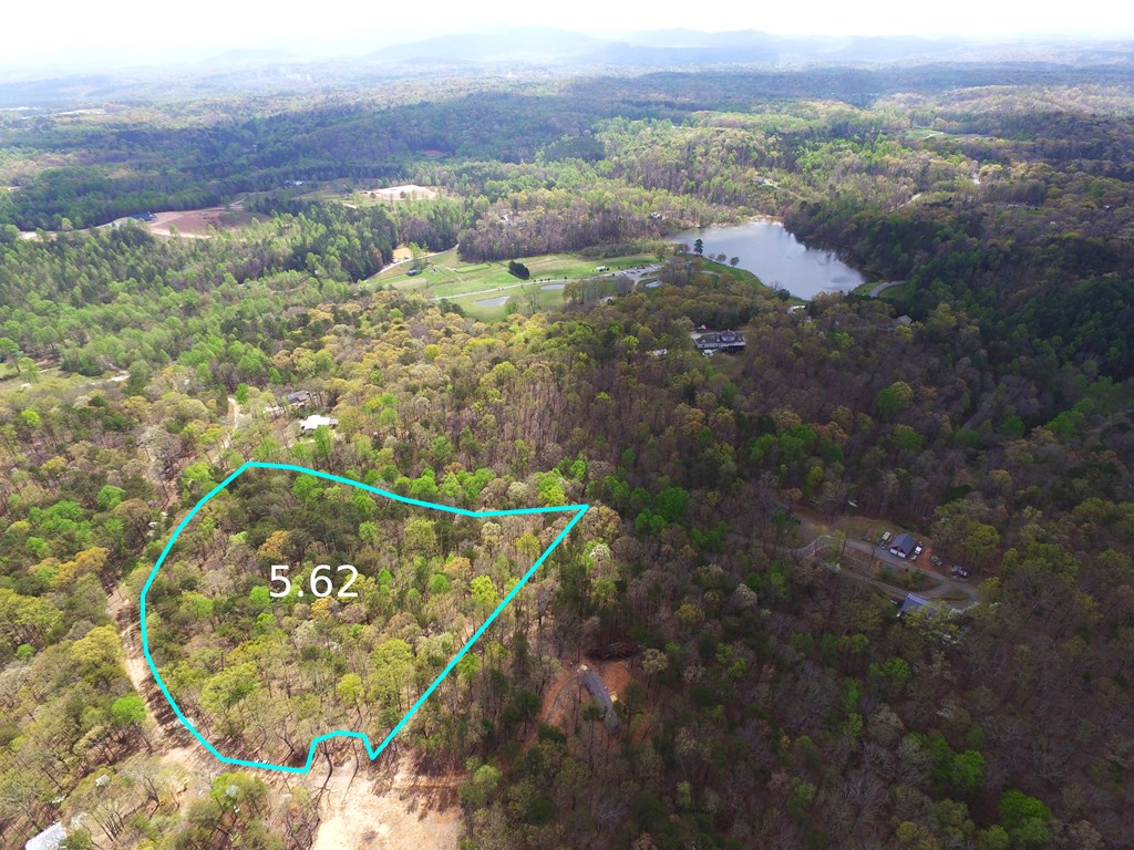 0 Wendy Hill Road Ellijay, GA 30536 - Photo 5 of 6 Gallery Image 5