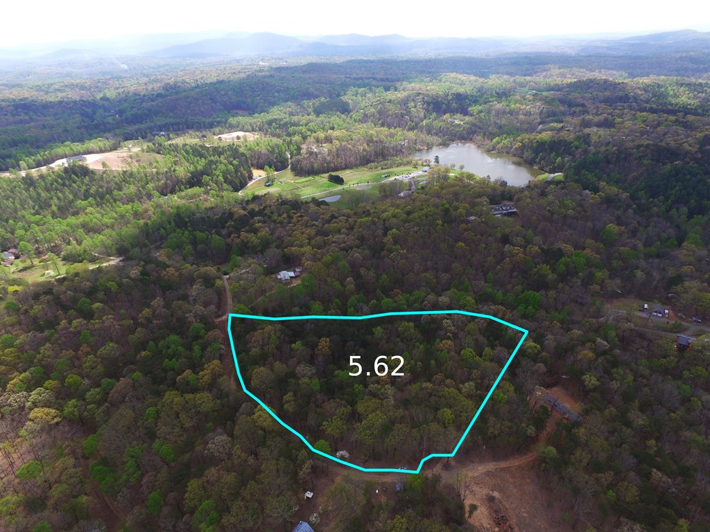 0 Wendy Hill Road Ellijay, GA 30536 - Photo 6 of 6 Gallery Image 6