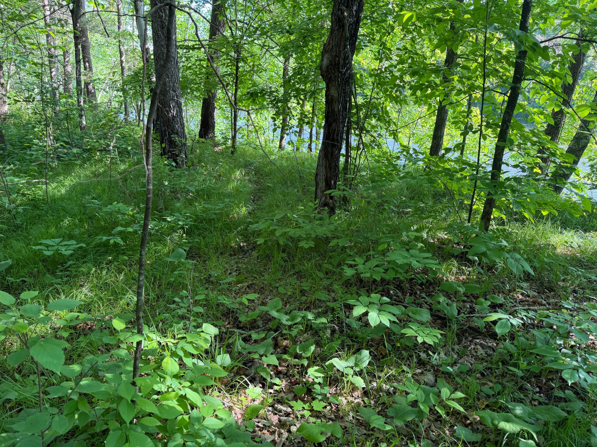 Tbd 270th Street Sebeka, MN 56477 - Photo 40 of 65