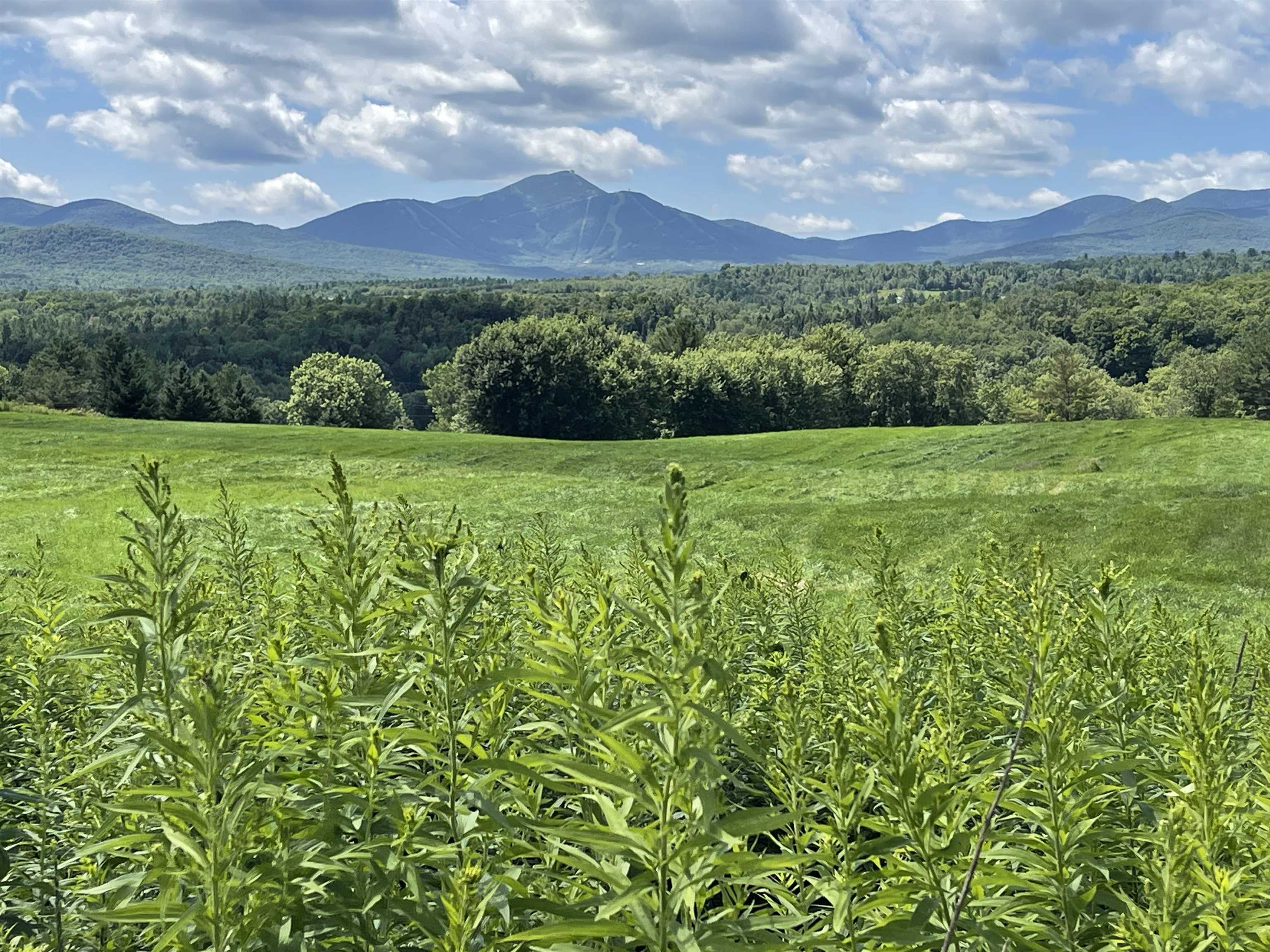 2715 River Road Troy, VT 05859 - Photo 1 of 21 Gallery Image 1