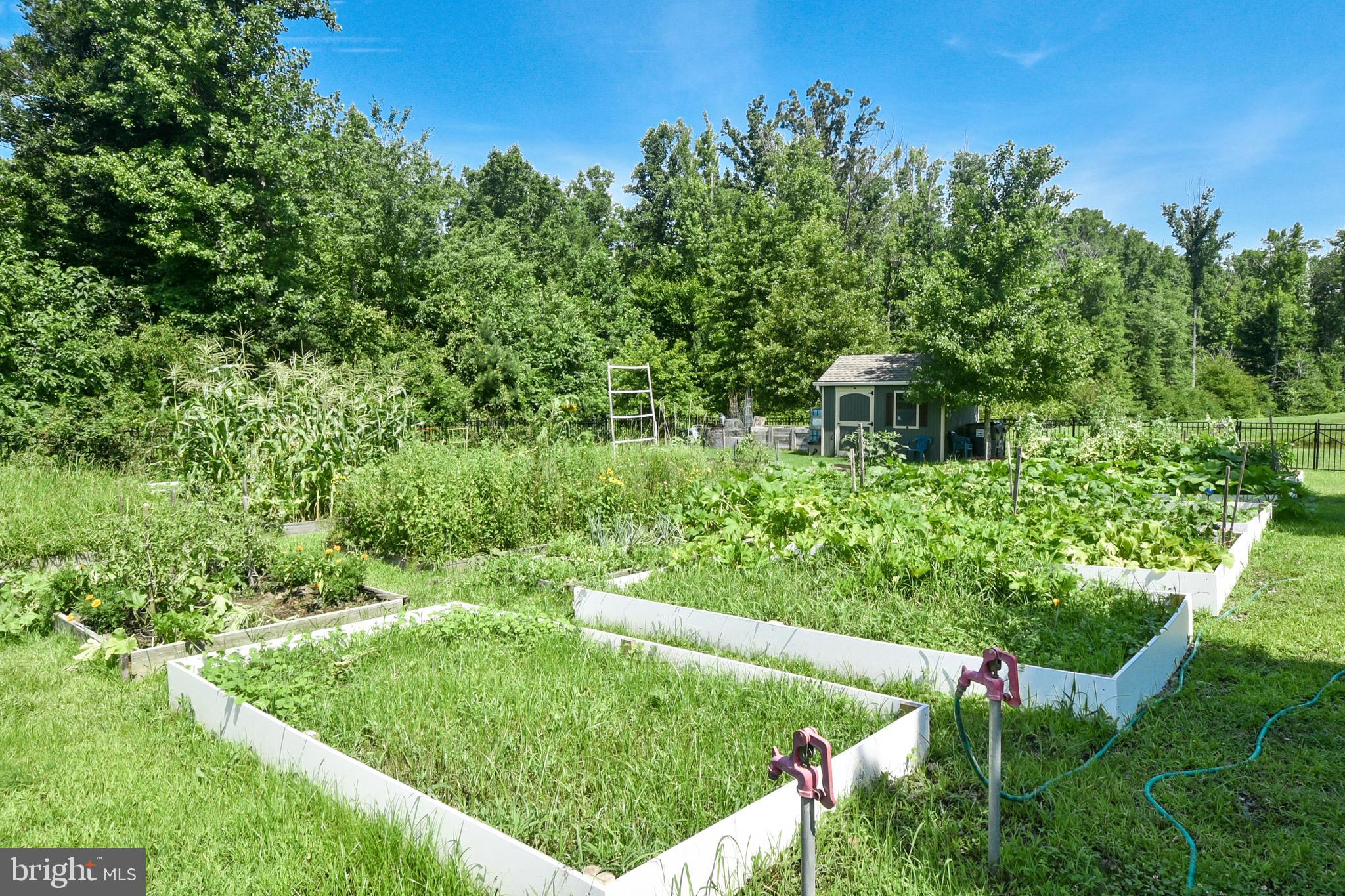 7115 Durrette Road Ruther Glen, VA 22546 - Photo 49 of 49 Gallery Image 49
