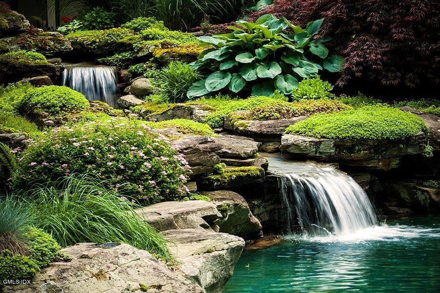 163 Clapboard Ridge Road Greenwich, CT 06831 - Photo 12 of 17 a view of a garden with plants