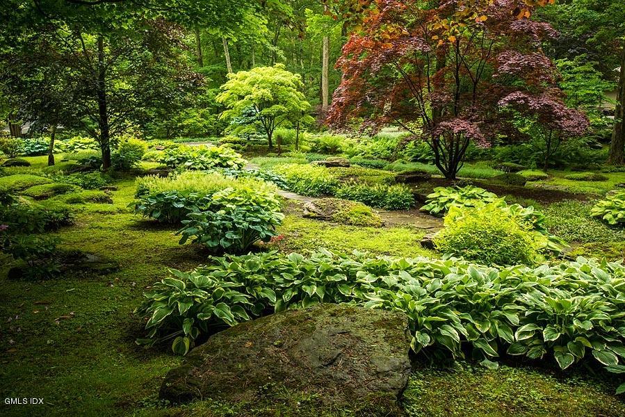 163 Clapboard Ridge Road Greenwich, CT 06831 - Photo 16 of 17 a backyard of a house with lots of plants and trees