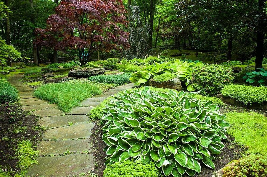 163 Clapboard Ridge Road Greenwich, CT 06831 - Photo 17 of 17 a backyard of a house with lots of green space and trees all around
