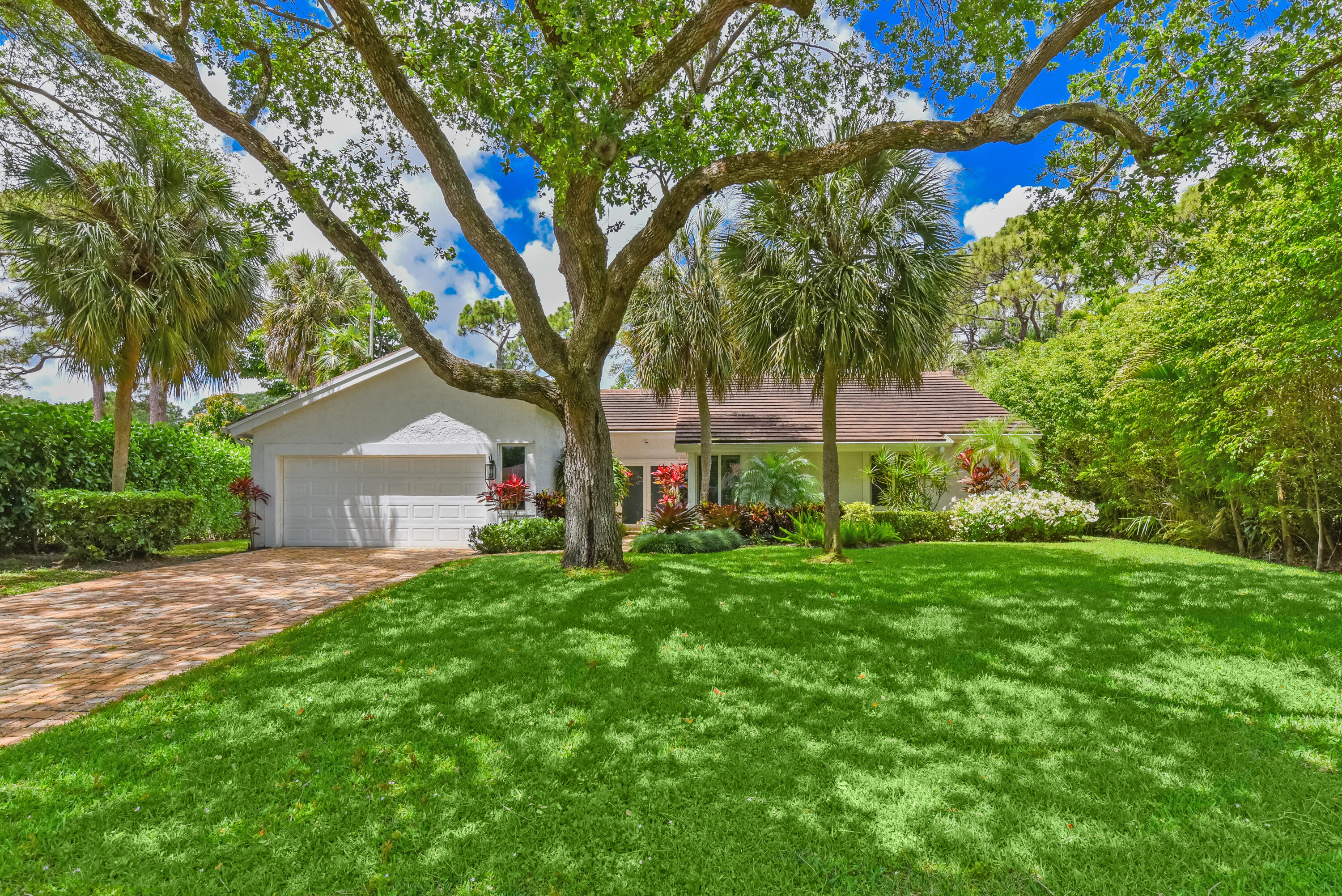 a front view of a house with yard and green space