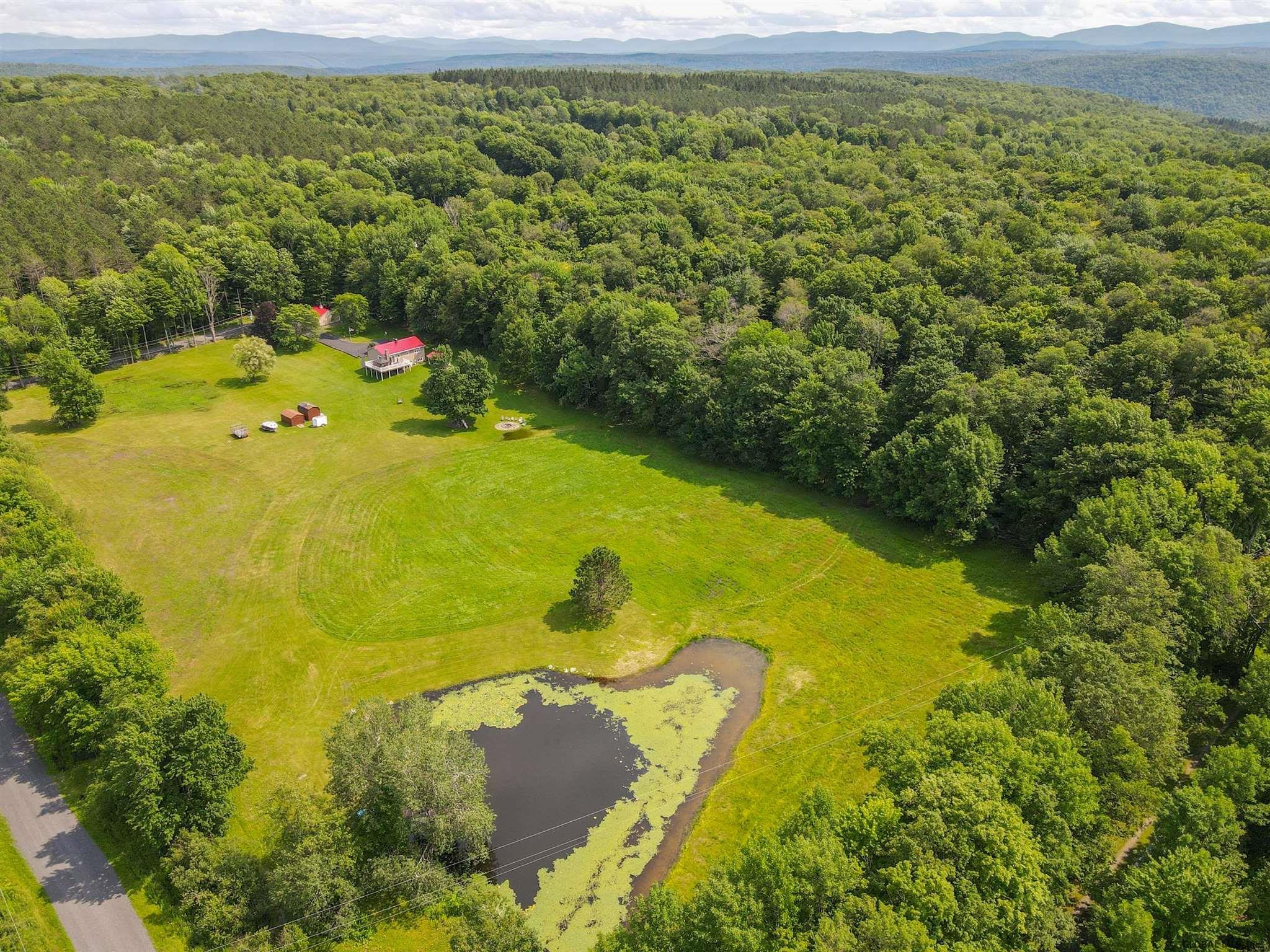 147 Rossman Hill Road Summit, NY 12175 - Photo 50 of 59 Photo 50