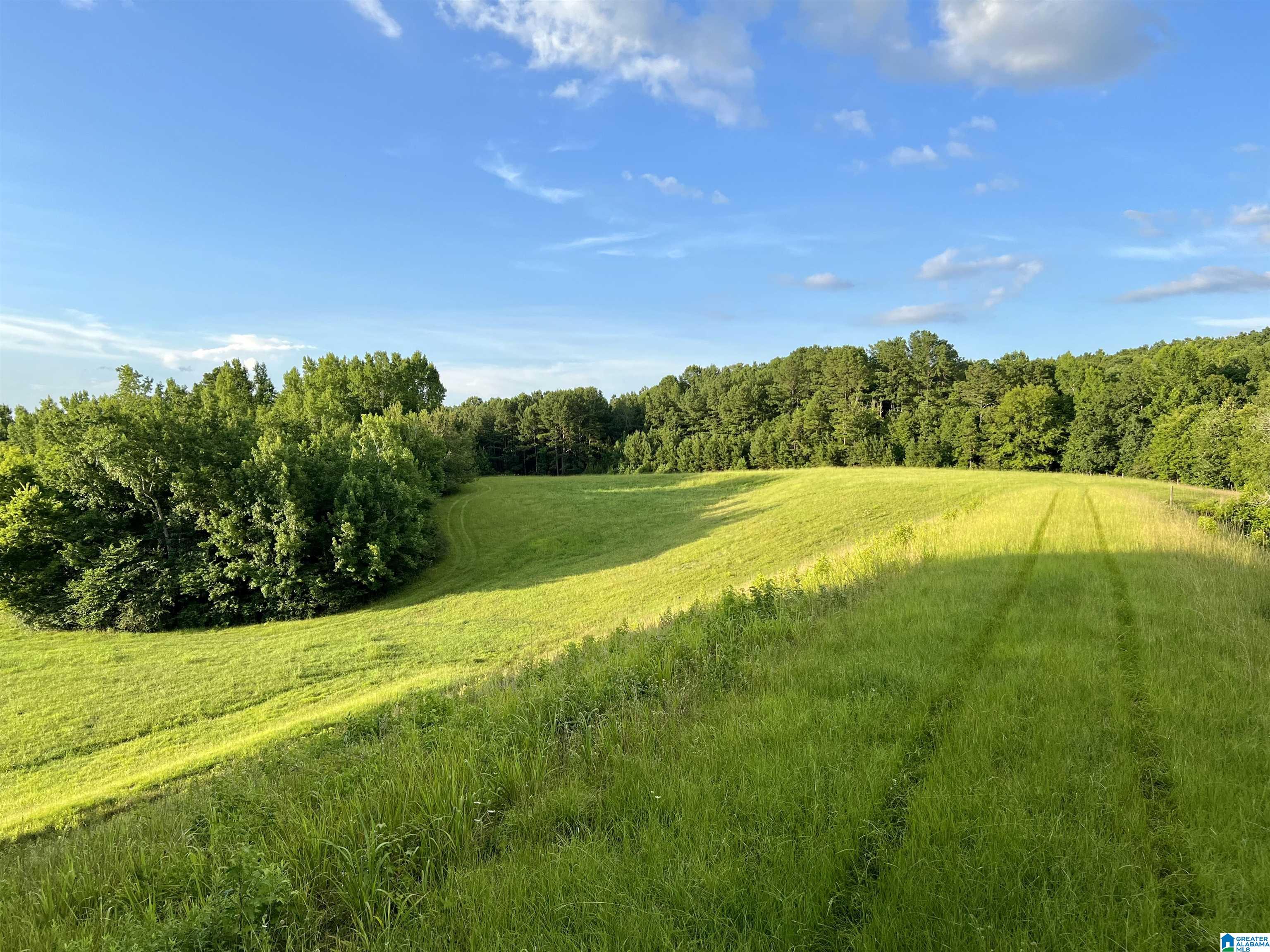 1515 Kelly Ranch Road, Unit 138 ACRES / Talladega, AL 35160 - Photo 11 of 42