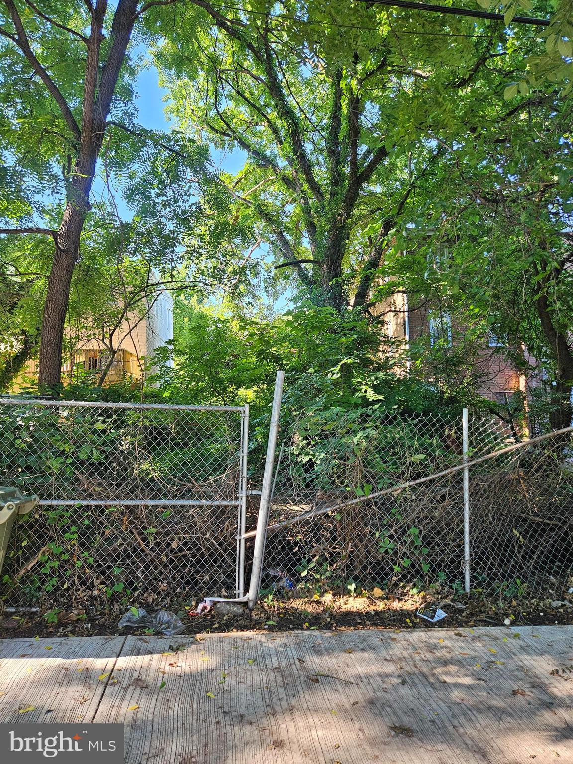4224 Foote Street Northeast Washington, DC 20019 - Photo 4 of 5 Back of lot