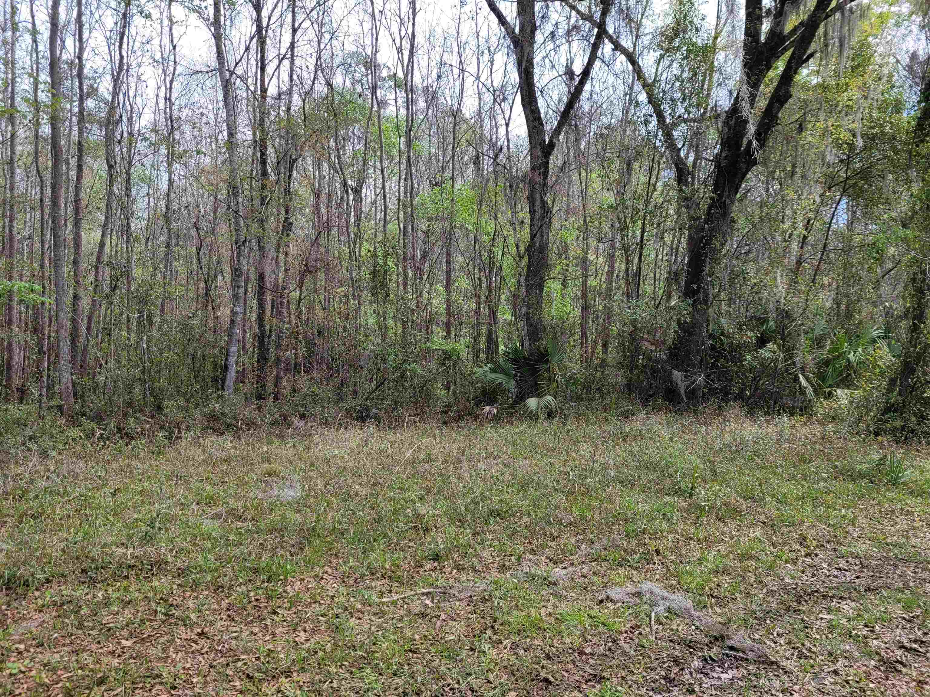 0 Falling Street Perry, FL 32348 - Photo 1 of 3
