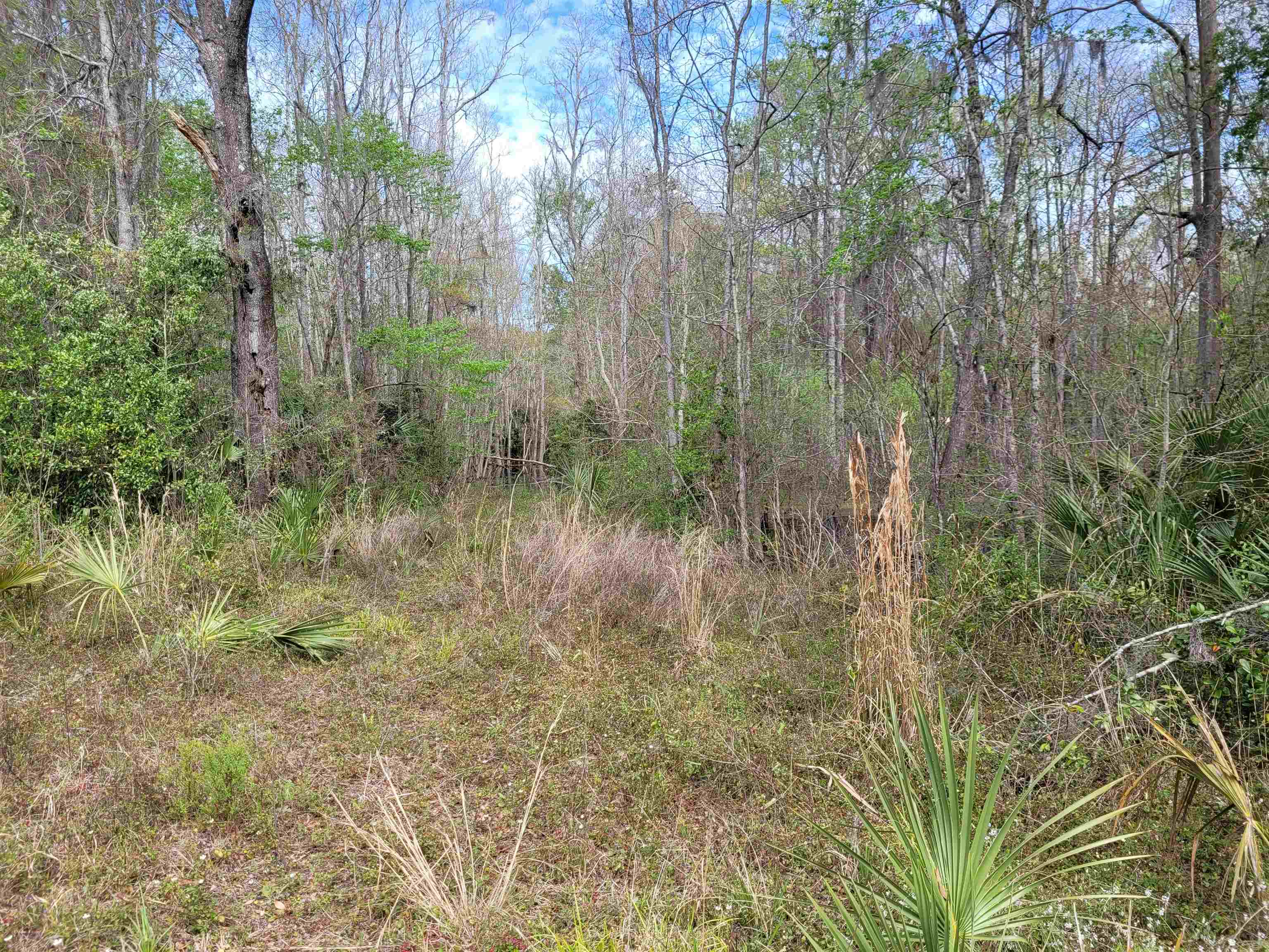 0 Falling Street Perry, FL 32348 - Photo 2 of 3