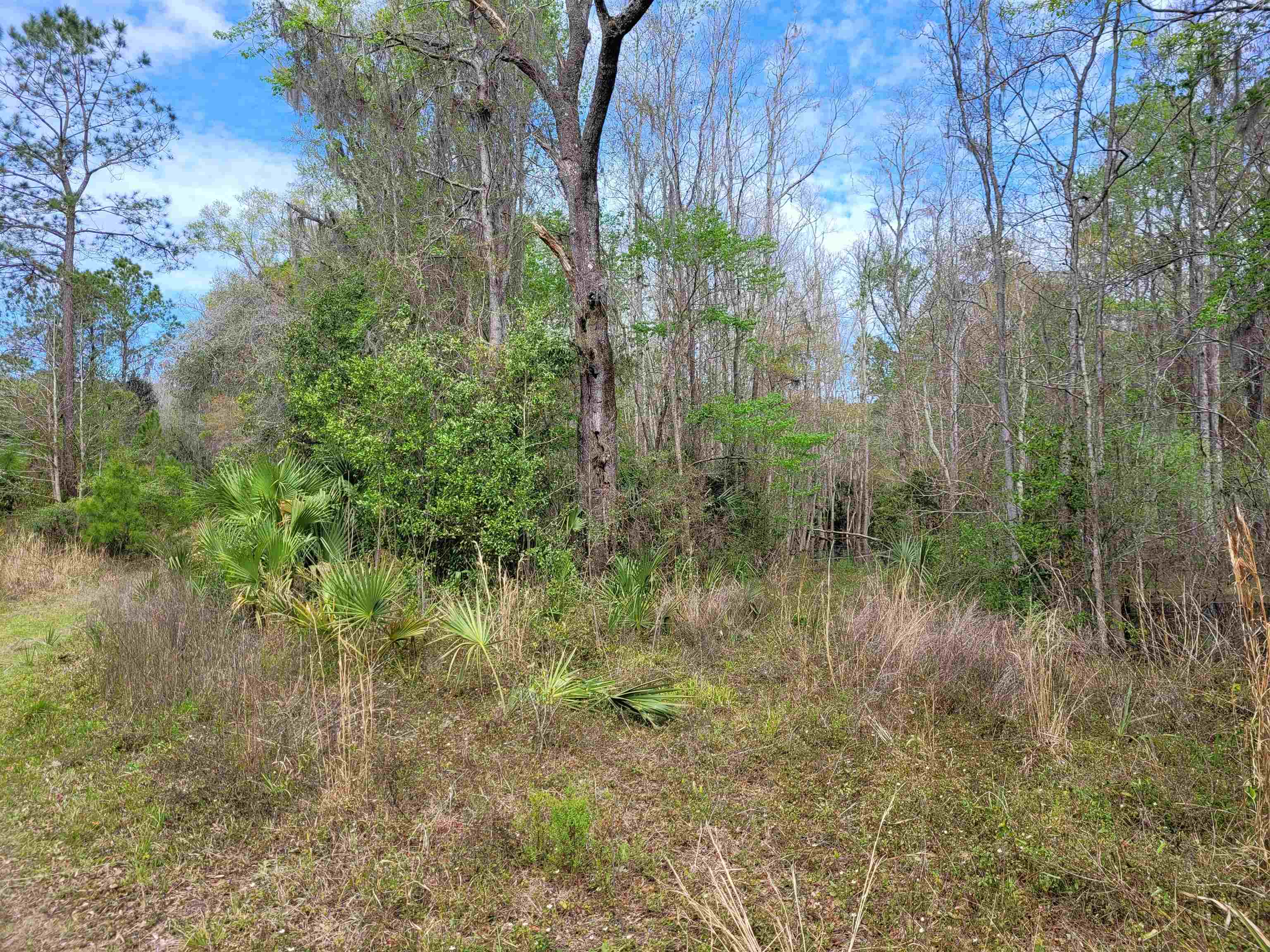 0 Falling Street Perry, FL 32348 - Photo 3 of 3