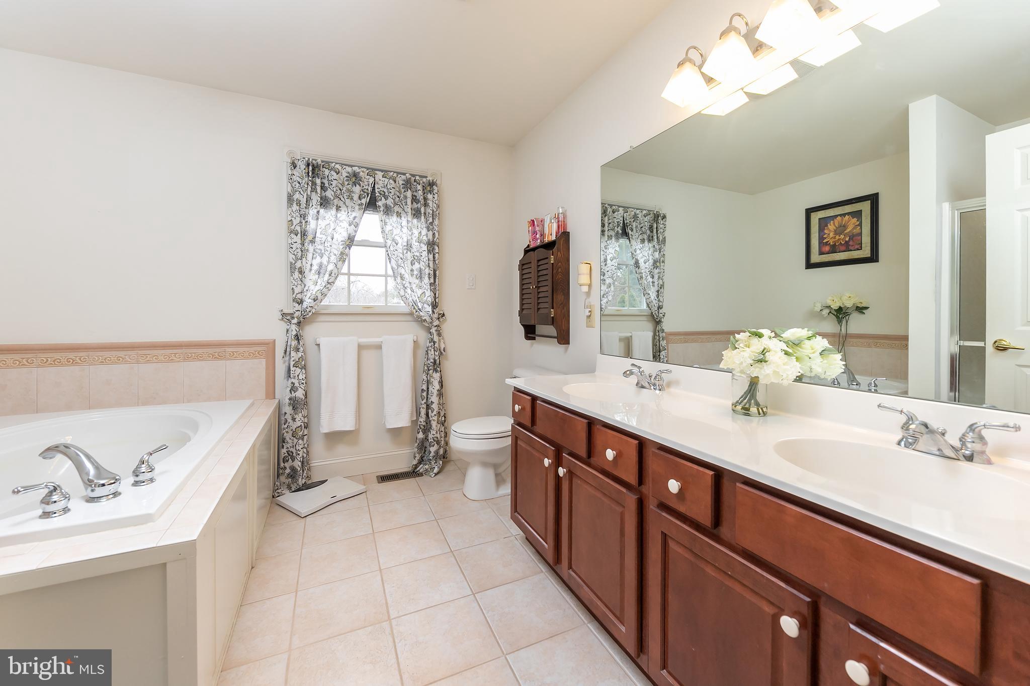21 Stone Ridge Drive Mickleton, NJ 08056 - Photo 21 of 30 Master Bath