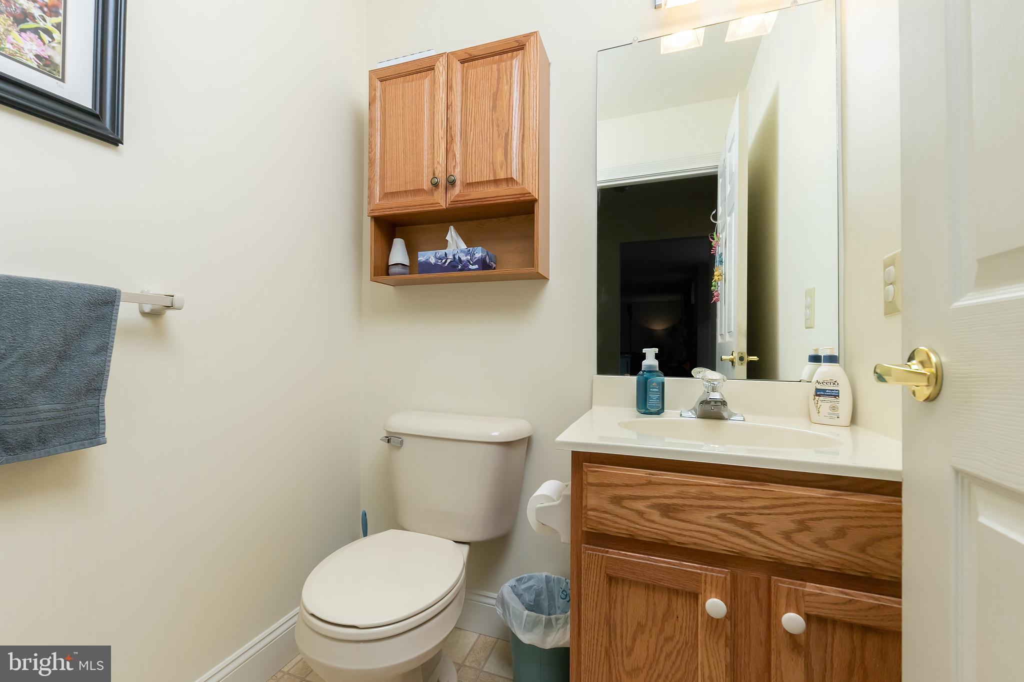 21 Stone Ridge Drive Mickleton, NJ 08056 - Photo 23 of 30 Powder Room