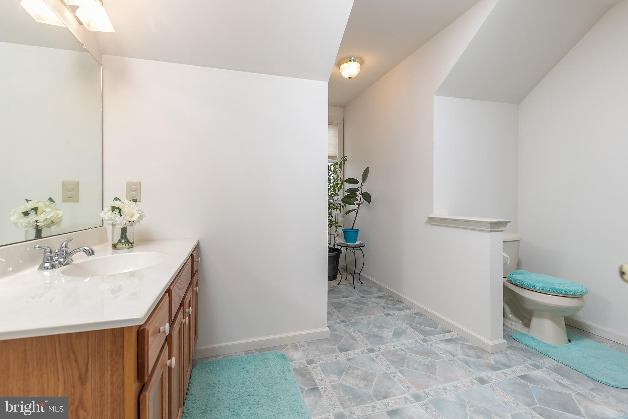 21 Stone Ridge Drive Mickleton, NJ 08056 - Photo 27 of 30 2nd Floor Hall Bath