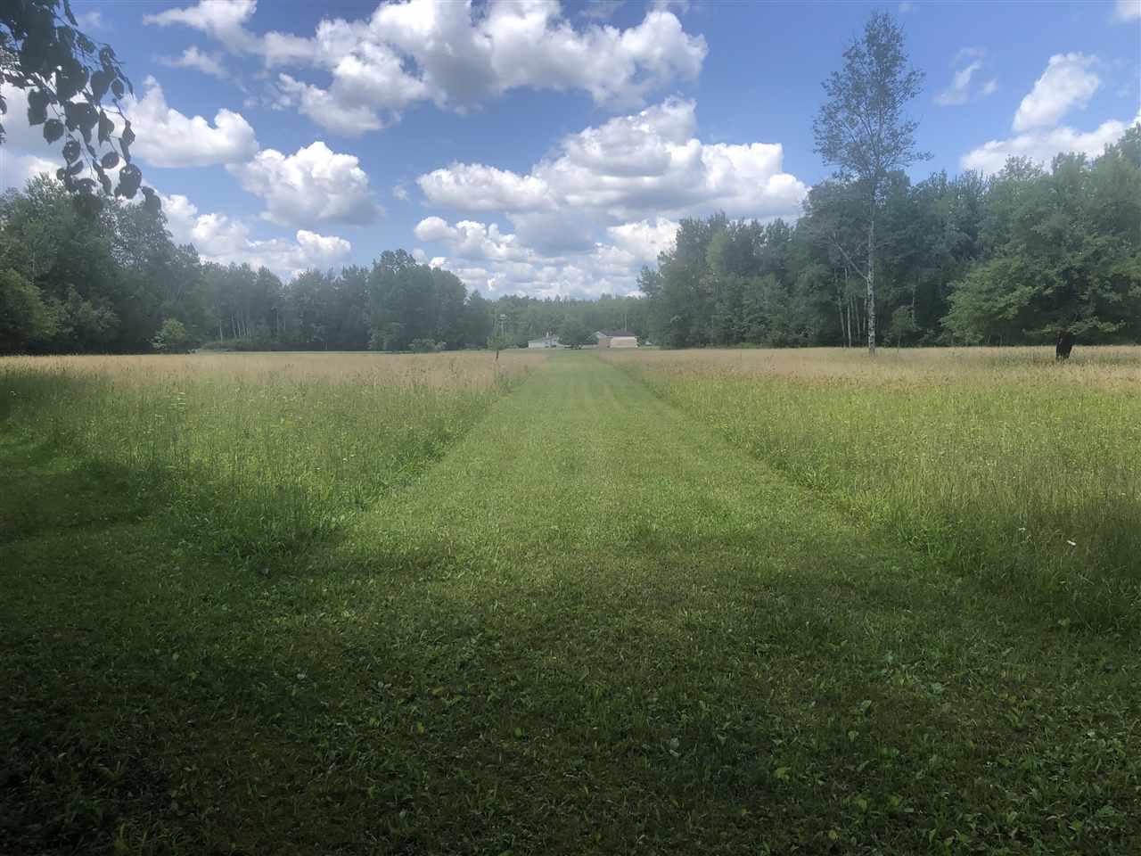 2553 Smith Road Beaverton, MI 48612 - Photo 51 of 53