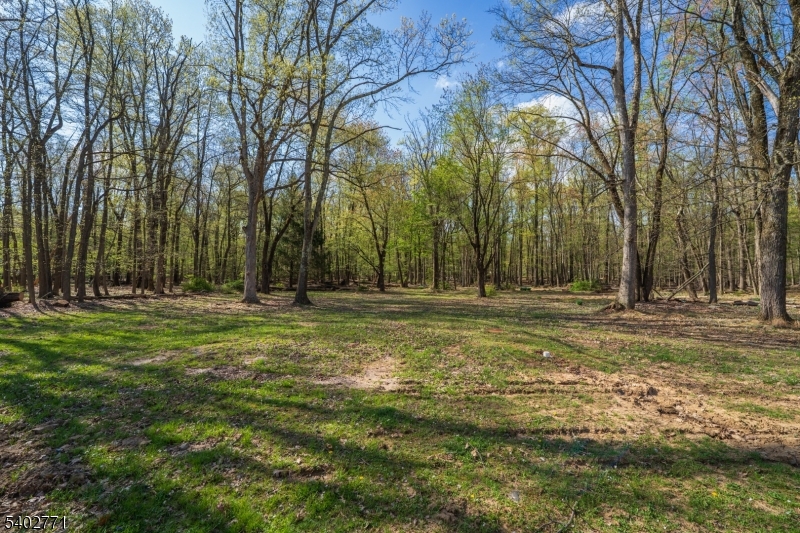 347 Zion Road Hillsborough, NJ 08844 - Photo 12 of 44