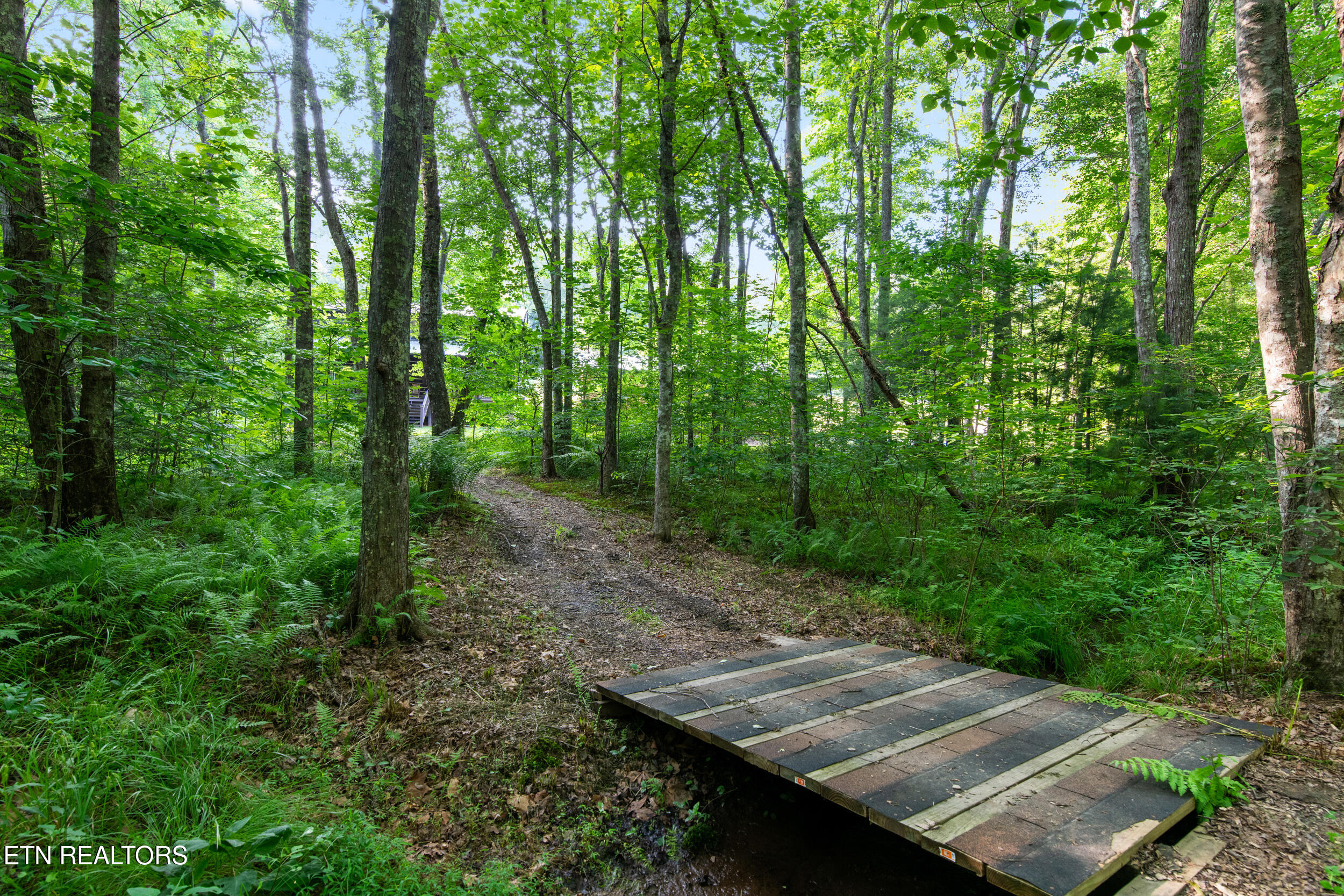 610 Towee Falls Road Tellico Plains, TN 37385 - Photo 54 of 60 610 towee falls rd-69