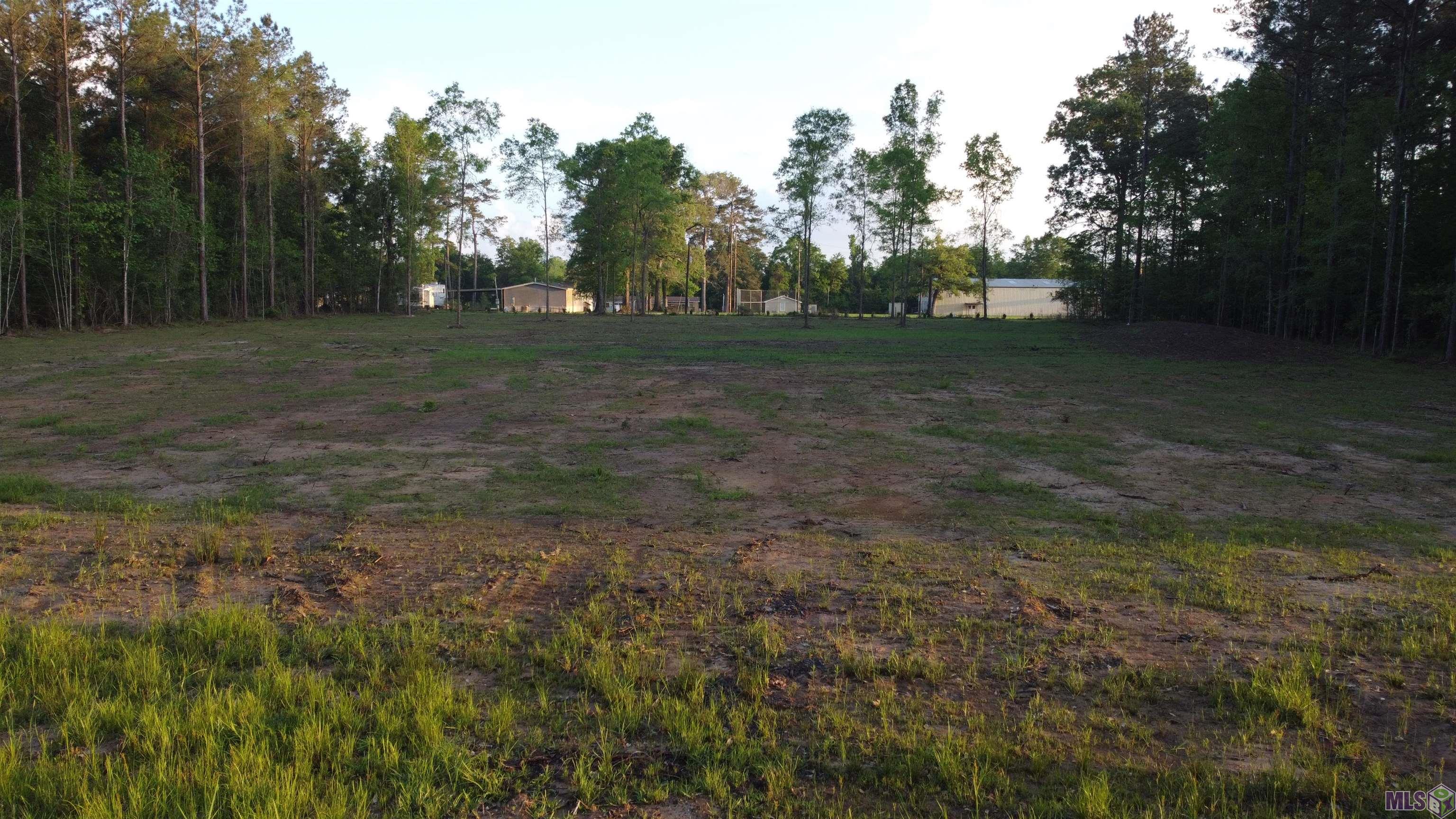 21154 Butterbean Ridge Livingston, LA 70754 - Photo 4 of 7 Gallery Image 4