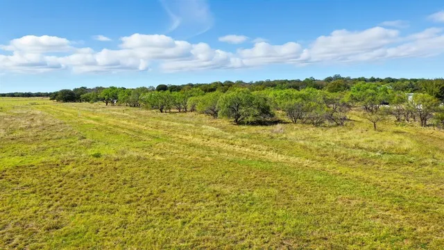 a view of an ocean from a yard