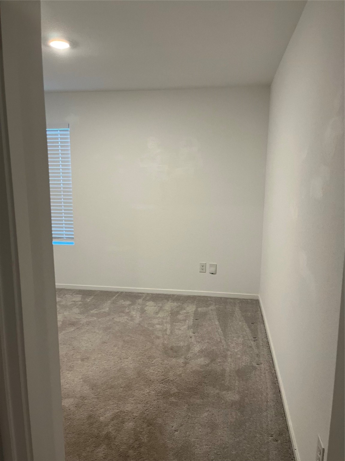 21119 Vercelli Street New Caney, TX 77357 - Photo 17 of 18