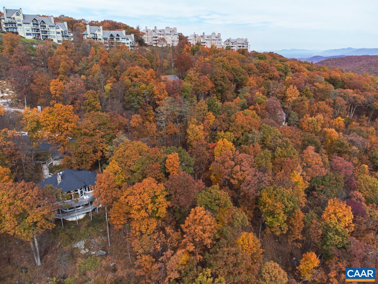 341 Chestnut Place Roseland, VA 22967 - Photo 12 of 24 an aerial view of house with yard and mountain view in back