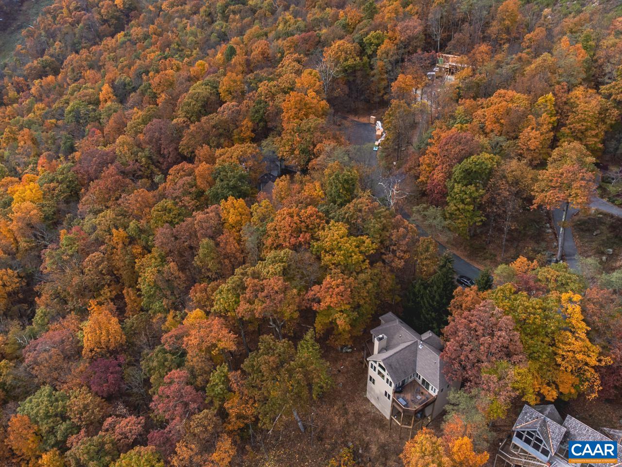 341 Chestnut Place Roseland, VA 22967 - Photo 15 of 24 an aerial view of a house with a yard